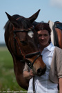 Fotoshoot Paarden